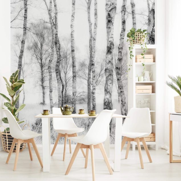 Modern wallpaper designs Mystic Birch Forest Black And White