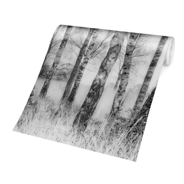 Adhesive wallpaper Mystic Birch Forest Black And White