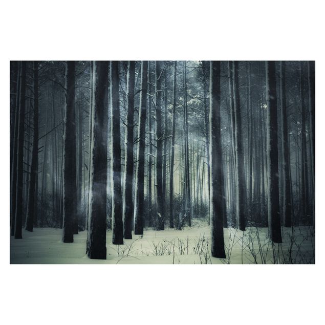 Self adhesive wallpapers Mystical Winter Forest