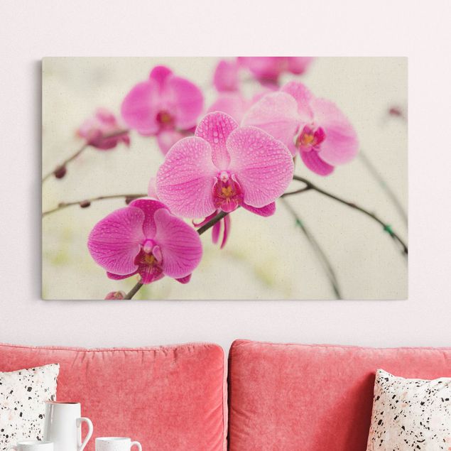 Orchid canvas Close-Up Orchid