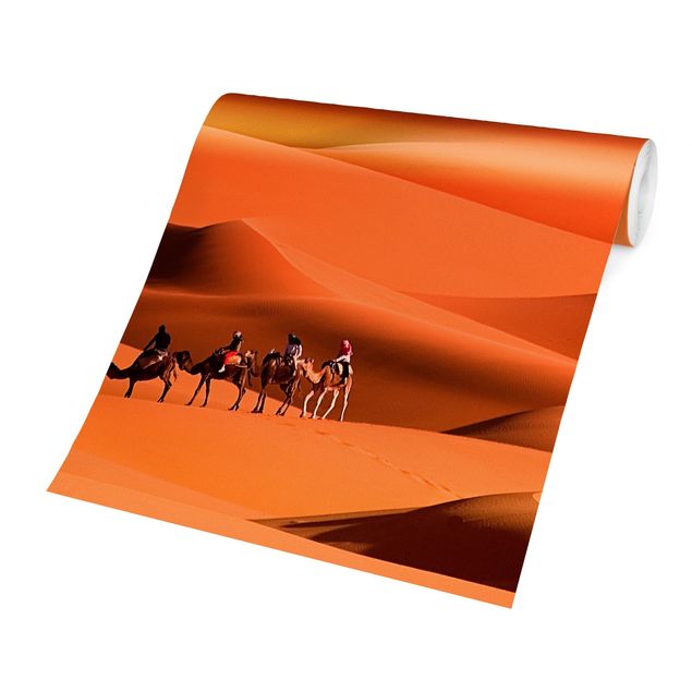 Wallpapers landscape Namib Desert