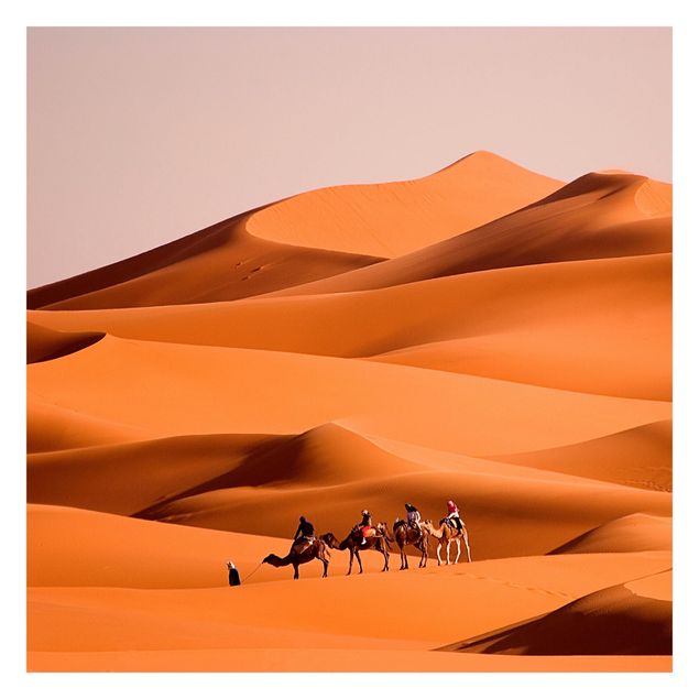 Orange colour wallpaper Namib Desert