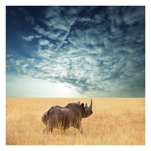 Wallpapers landscape Rhino In The Savannah