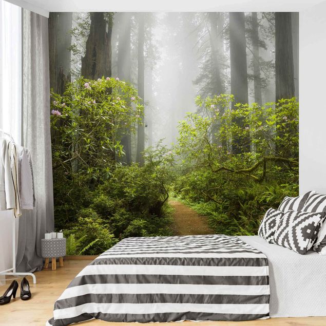 Contemporary wallpaper Misty Forest Path