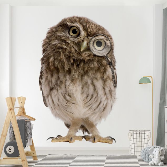 Nursery decoration Curious Owl