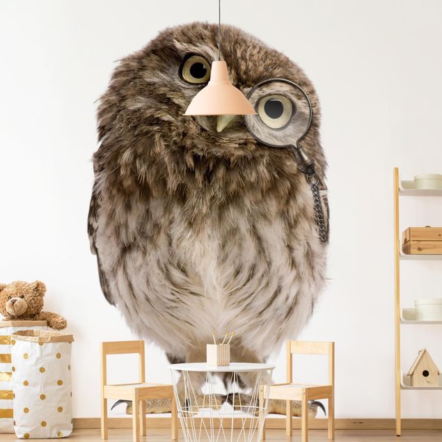 Wallpapers modern Curious Owl
