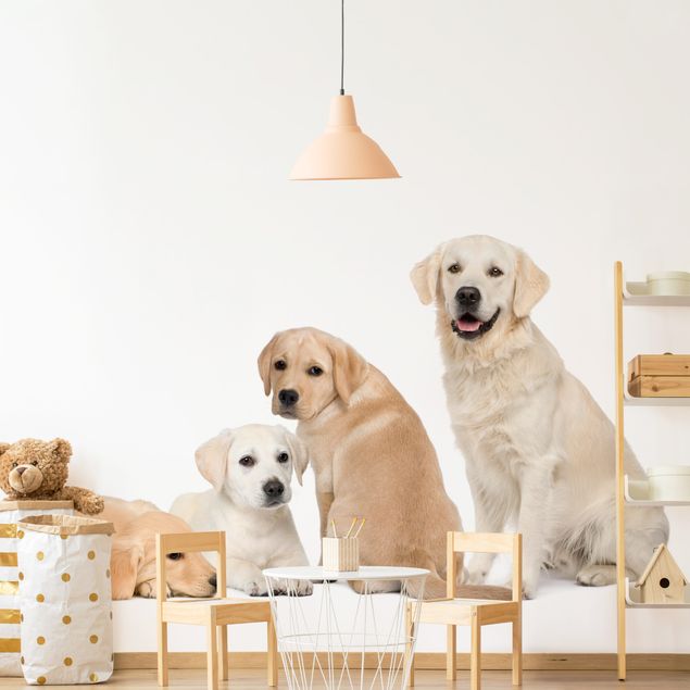 Puppy wallpaper No.454 portait of labradors and golden retriever