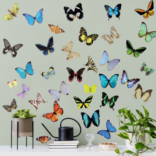 Wall stickers butterfly No.51 Butterflies Set 2