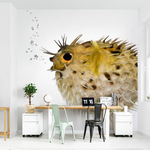 Wallpapers animals No.602 Pufferfish