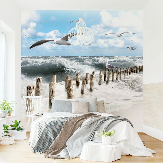 Wallpapers birds No.YK3 Absolutly Sylt