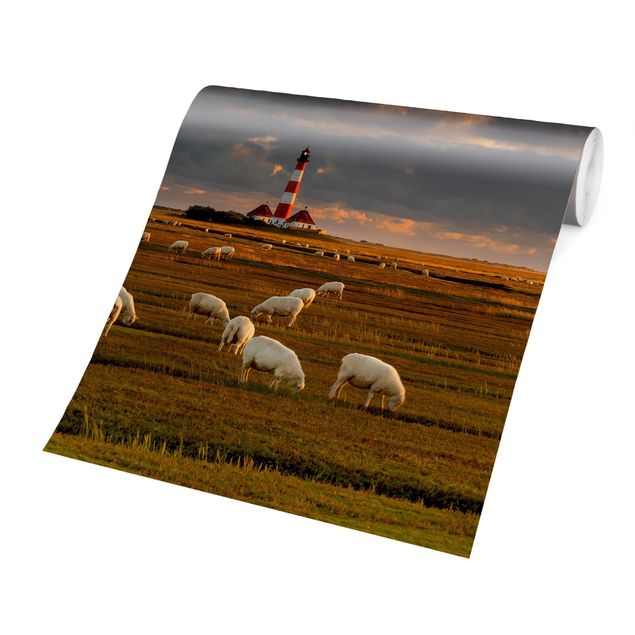 Modern wallpaper designs North Sea Lighthouse With Flock Of Sheep