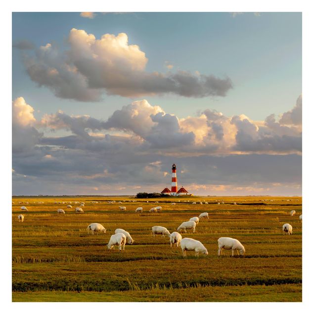 Wall mural beach North Sea Lighthouse With Flock Of Sheep