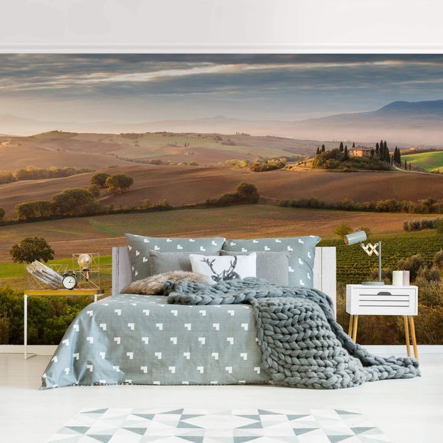 Contemporary wallpaper Olive Grove In Tuscany