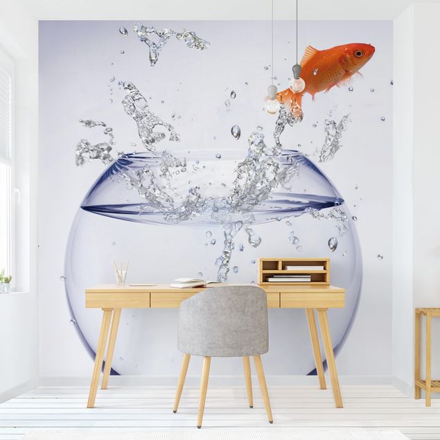 Kitchen Flying Goldfish