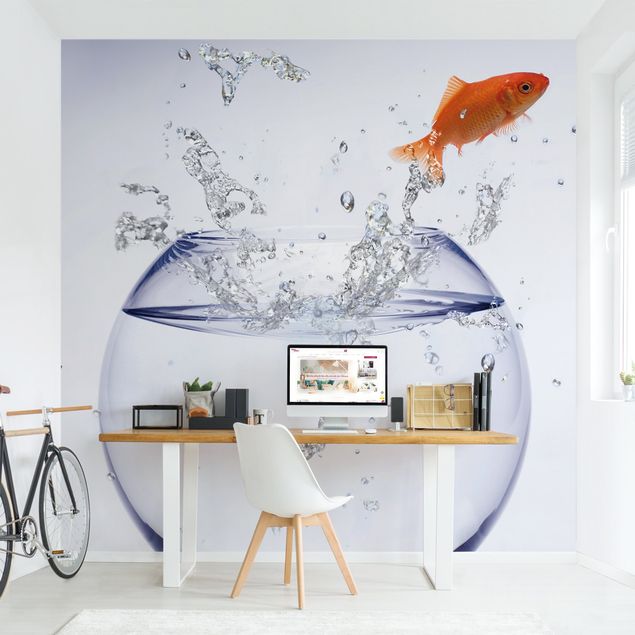 Wallpapers fishes Flying Goldfish