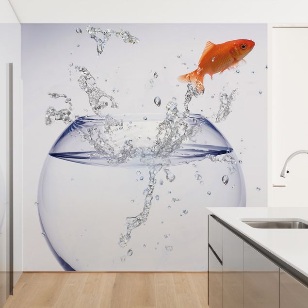 Wallpapers animals Flying Goldfish