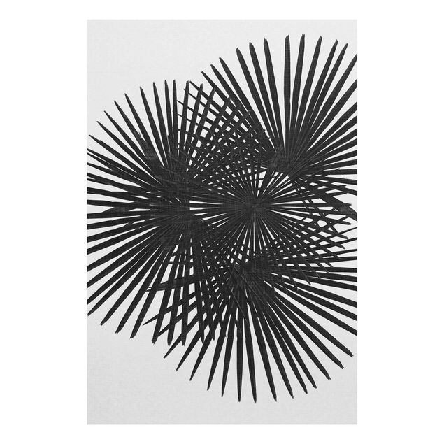 Black and white wall art Palm Leaves In Black And White