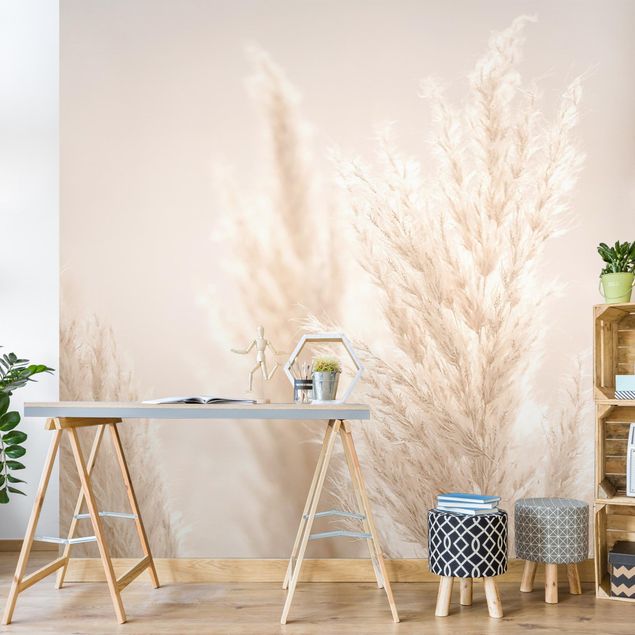 Country style wallpaper Pampas Grass In Sun Light