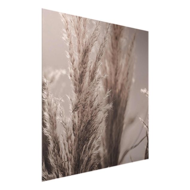 Floral prints Pampas Grass In Late Fall