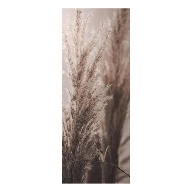 Prints brown Pampas Grass In Late Fall