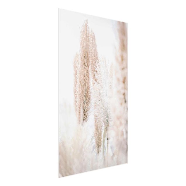 Prints flower Pampas Grass In White Light