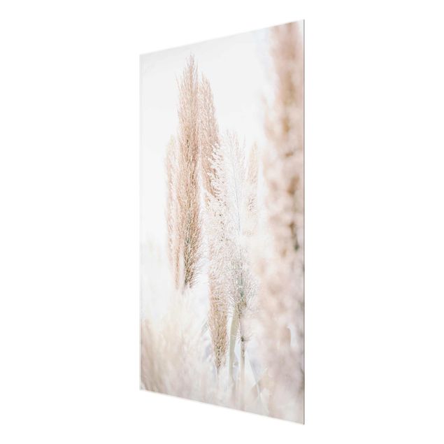 Prints Pampas Grass In White Light
