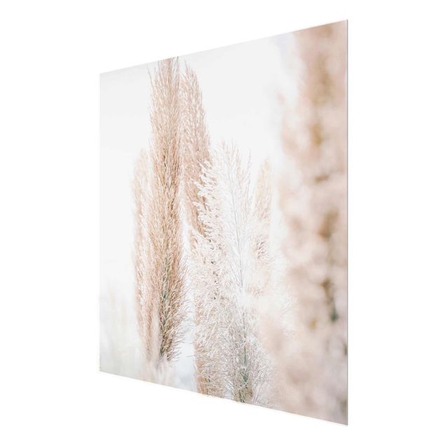 Prints Pampas Grass In White Light