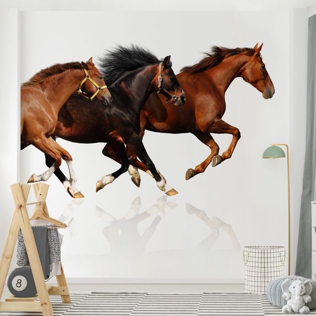 Pony wallpaper Horse Herd