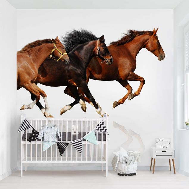 Contemporary wallpaper Horse Herd