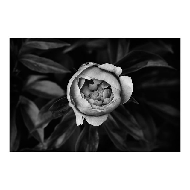 Peel and stick wallpaper Peonies In Front Of Leaves Black And White