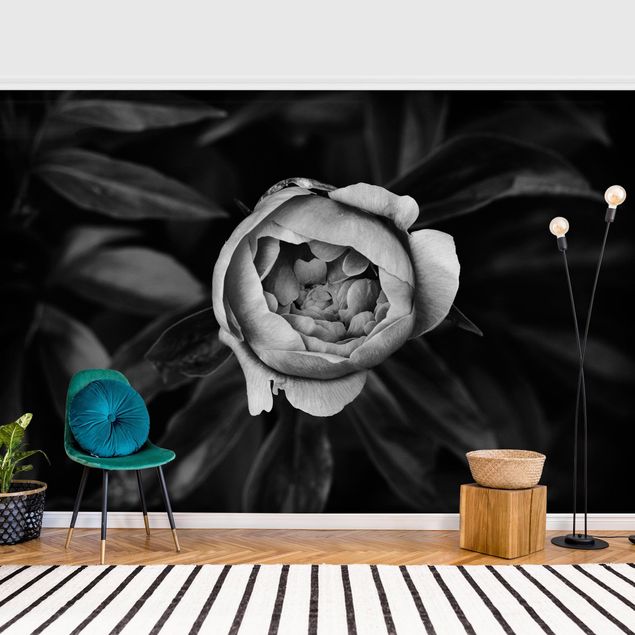 Red rose wallpaper Peonies In Front Of Leaves Black And White