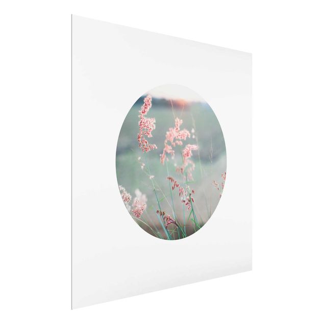 Floral picture Pink Flowers In A Circle