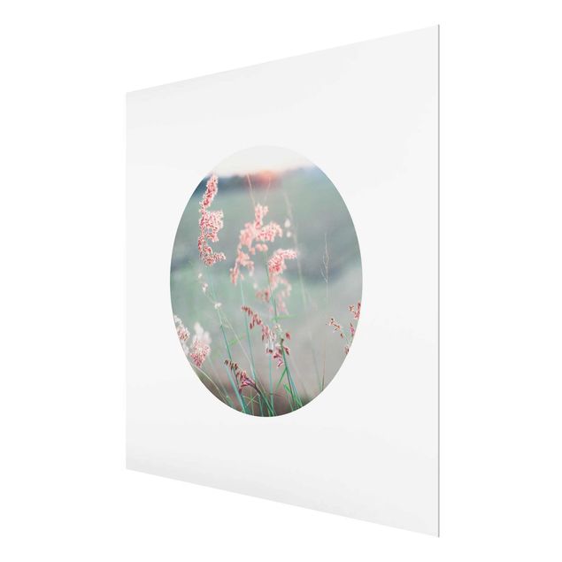 Prints Pink Flowers In A Circle