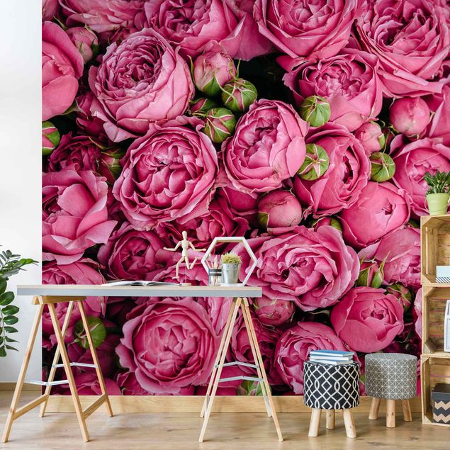 Wallpapers flower Pink Peonies