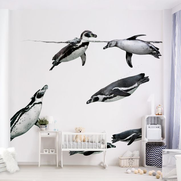 Wallpapers animals Penguin