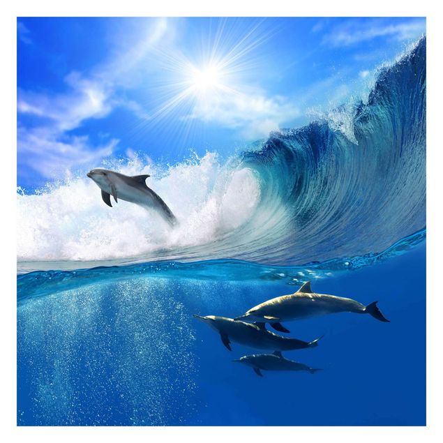 Self adhesive wallpapers Playing Dolphins