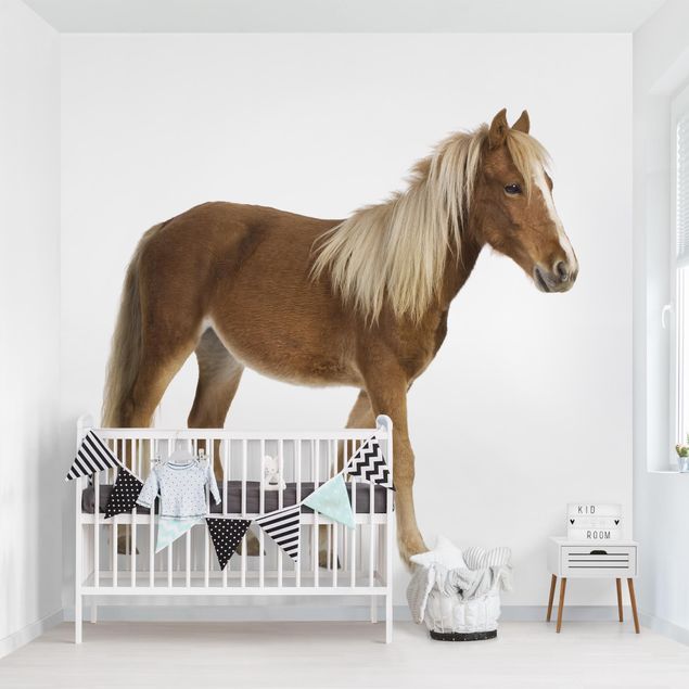 Kids room decor Pony