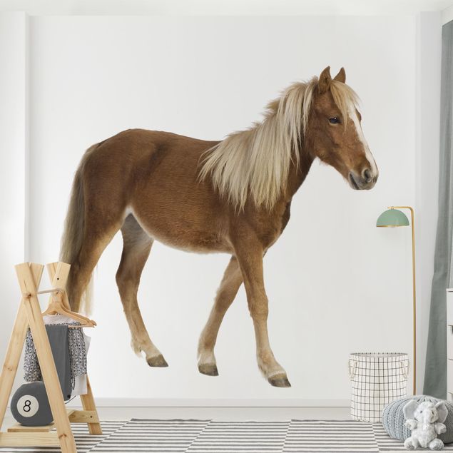 Pony wallpaper Pony