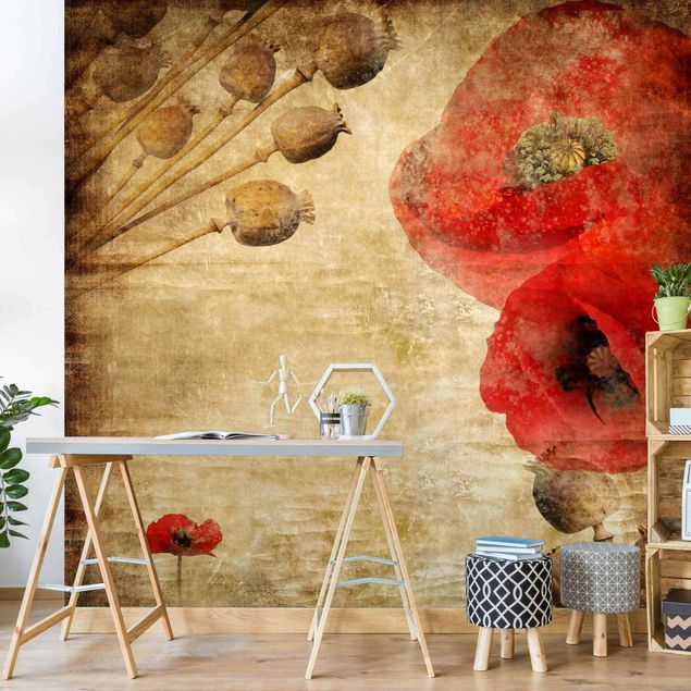 Wallpapers flower Poppy Flower