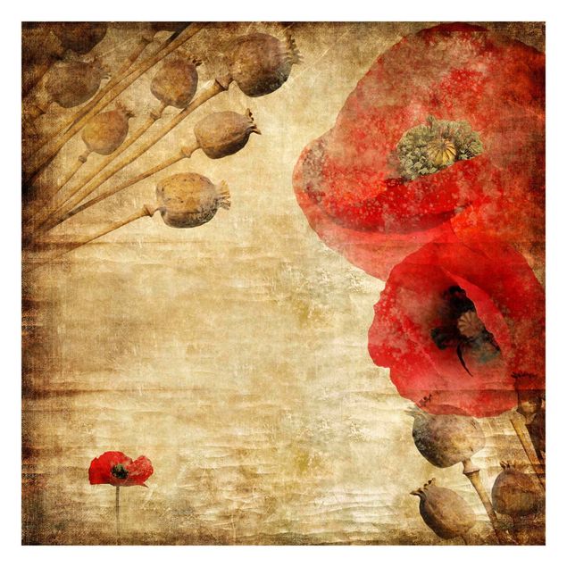 Wallpapers red Poppy Flower