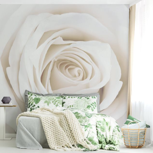 Wallpapers modern Pretty White Rose