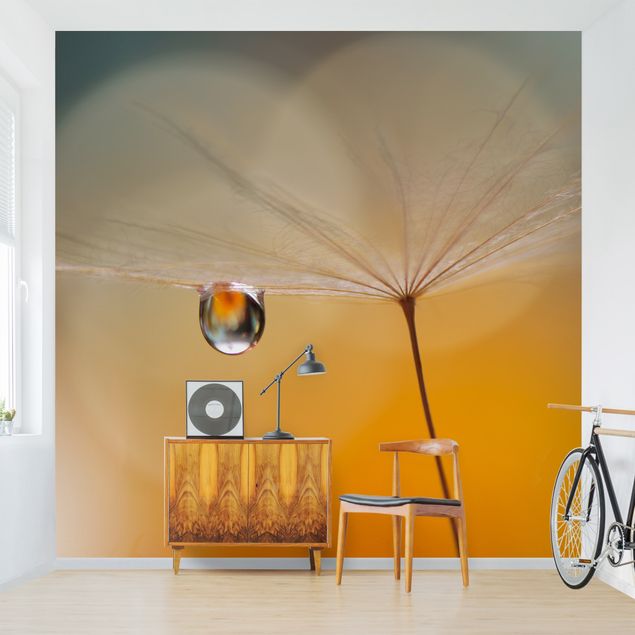 Modern wallpaper designs Dandelion In Orange