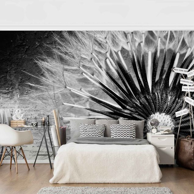 Wallpapers dandelion Dandelion Black & White