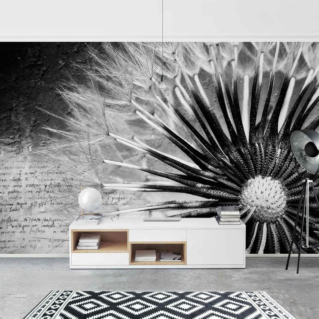 Wallpapers flower Dandelion Black & White