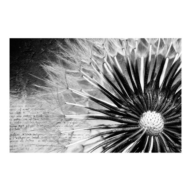 Self adhesive wallpapers Dandelion Black & White
