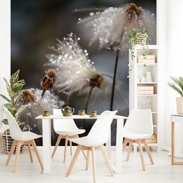 Wallpapers flower Dandelions With Snowflakes