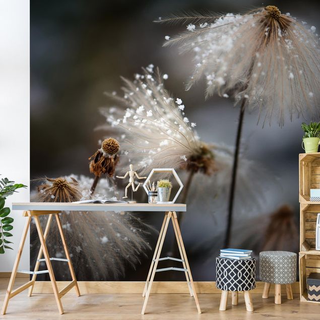 Wallpapers modern Dandelions With Snowflakes