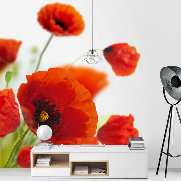 Modern wallpaper designs Radiant Poppies