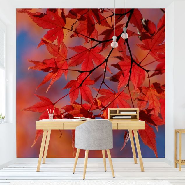 Modern wallpaper designs Red Maple
