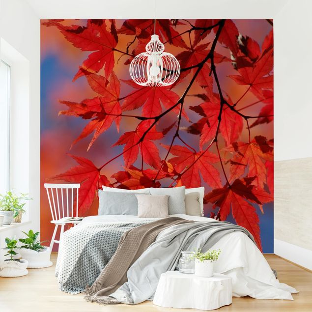 Wallpapers landscape Red Maple
